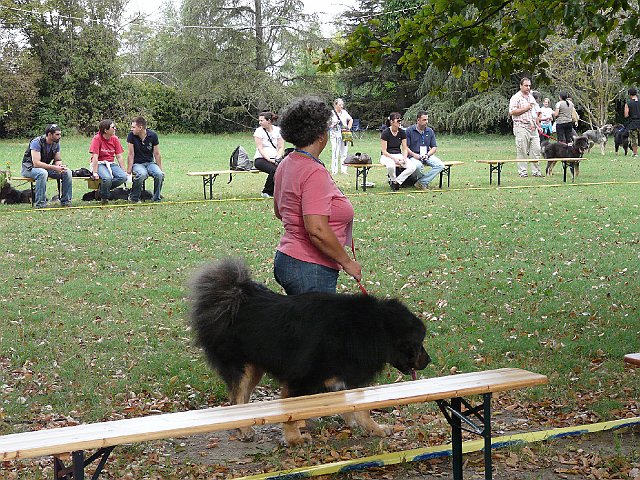 img 034.jpg